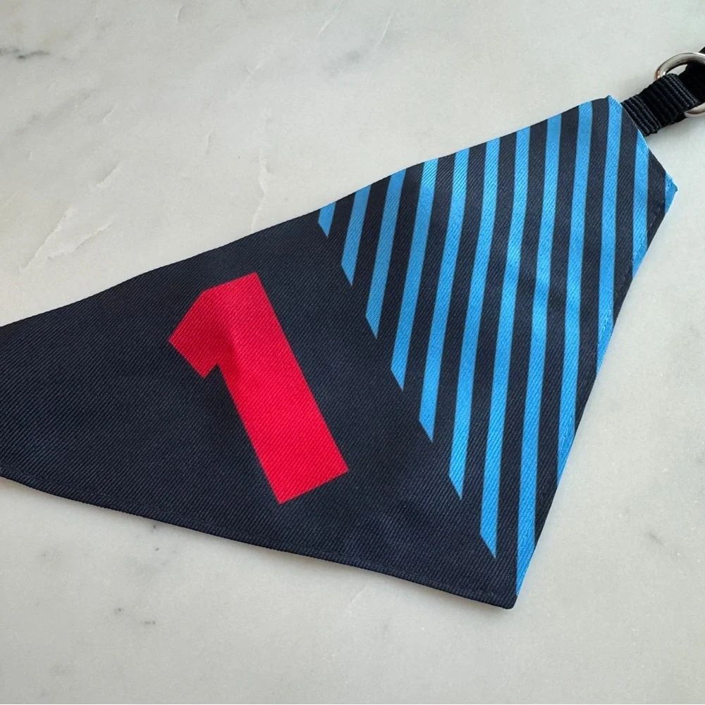 Max Verstappen Dog Bandana - F1 Dog Collar